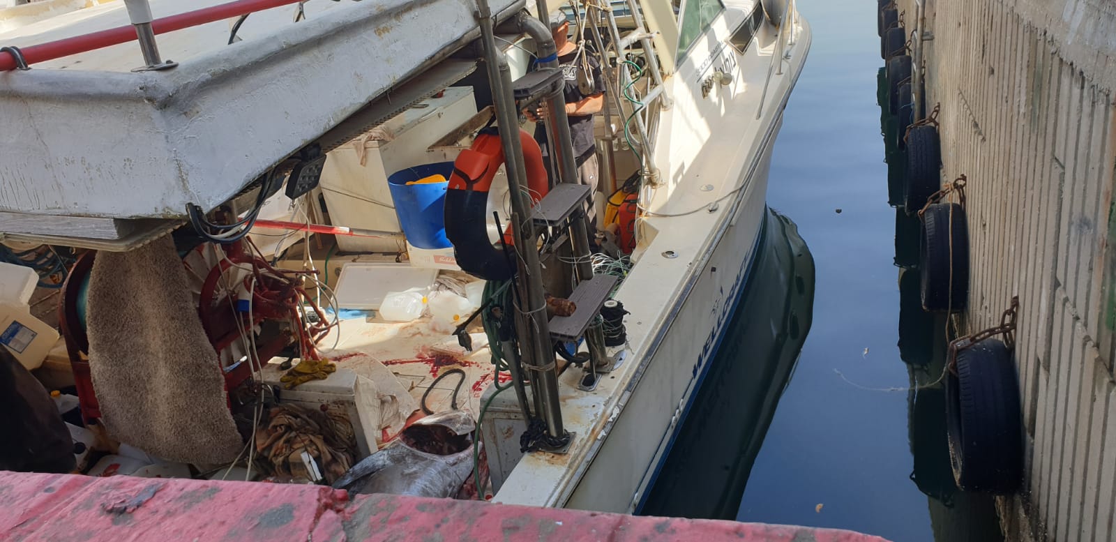 WhatsApp Image 2020-05-13 at 9.01.56 AM.jpeg.jpeg